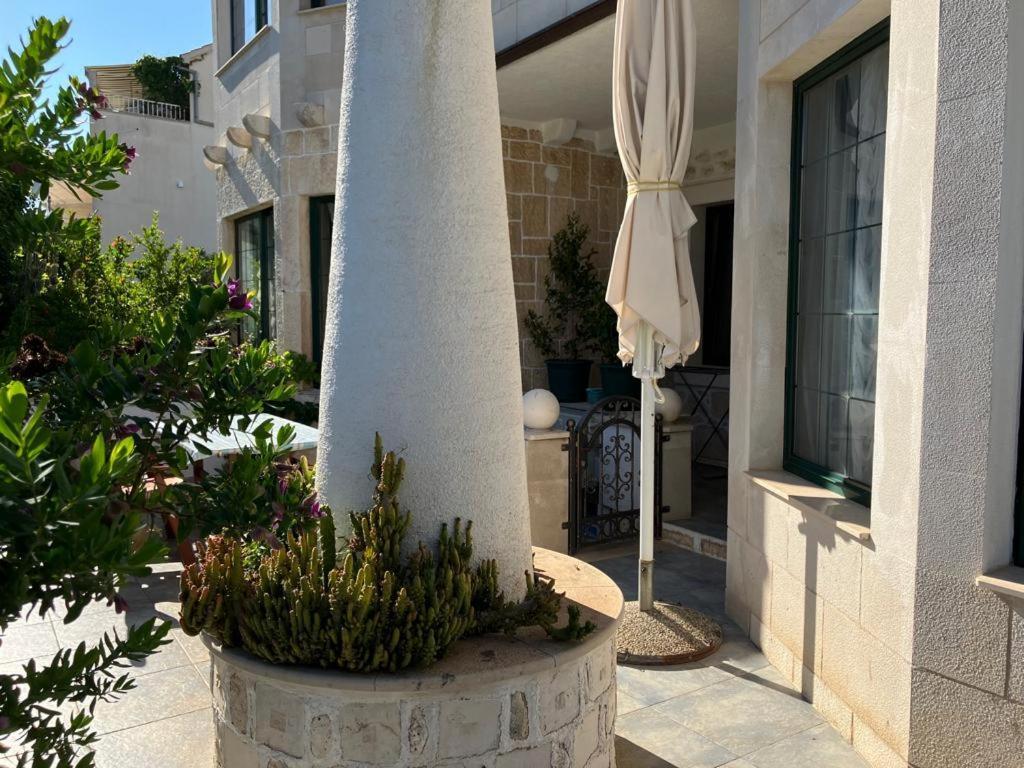 Apartments Villa Domus Marini Hvar Town Kamer foto